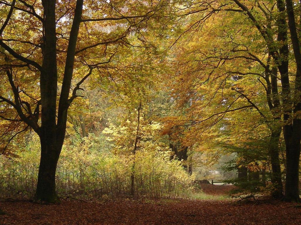 Hof Van Putten Exterior foto